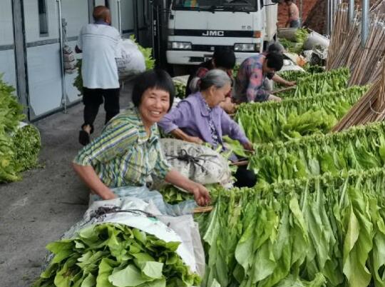 国网新田县供电公司助力贫困村脱贫致富