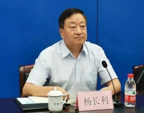 任职总经理半年后，杨长利任中广核董事长