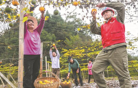 国网湖北电力电力扶贫 情洒荆楚