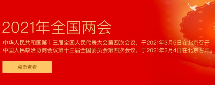 专题：2021两会代表委员说电力