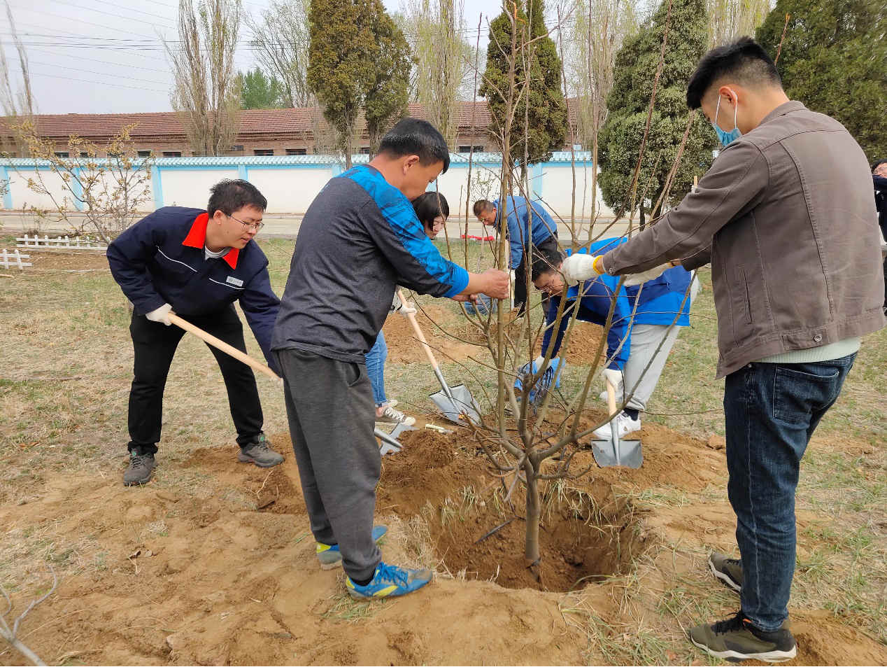 植树护绿 共建美好家园