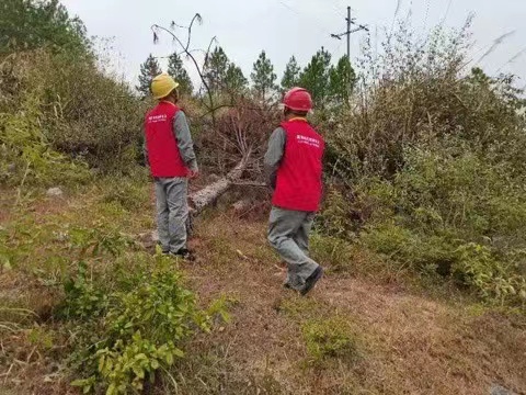 国网道县供电公司国庆保电不打烊 特巡线路防山火