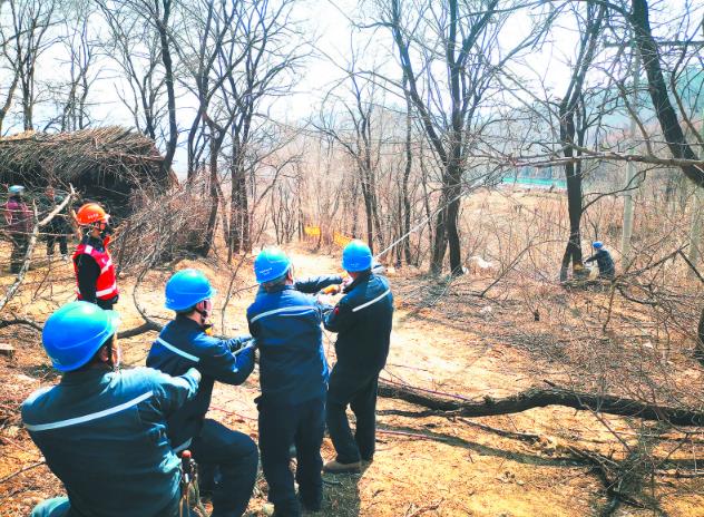 国网辽宁电力公司建成高供电可靠性示范区