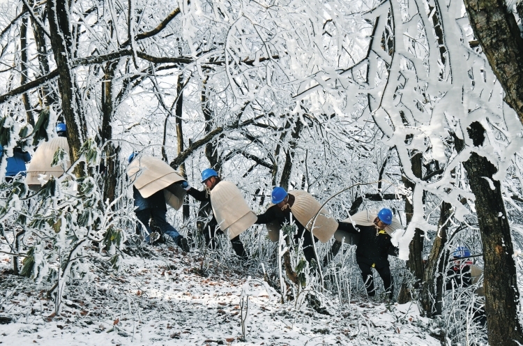 【新春满能量 央企“不打烊”】“披毡战队”冰山护电