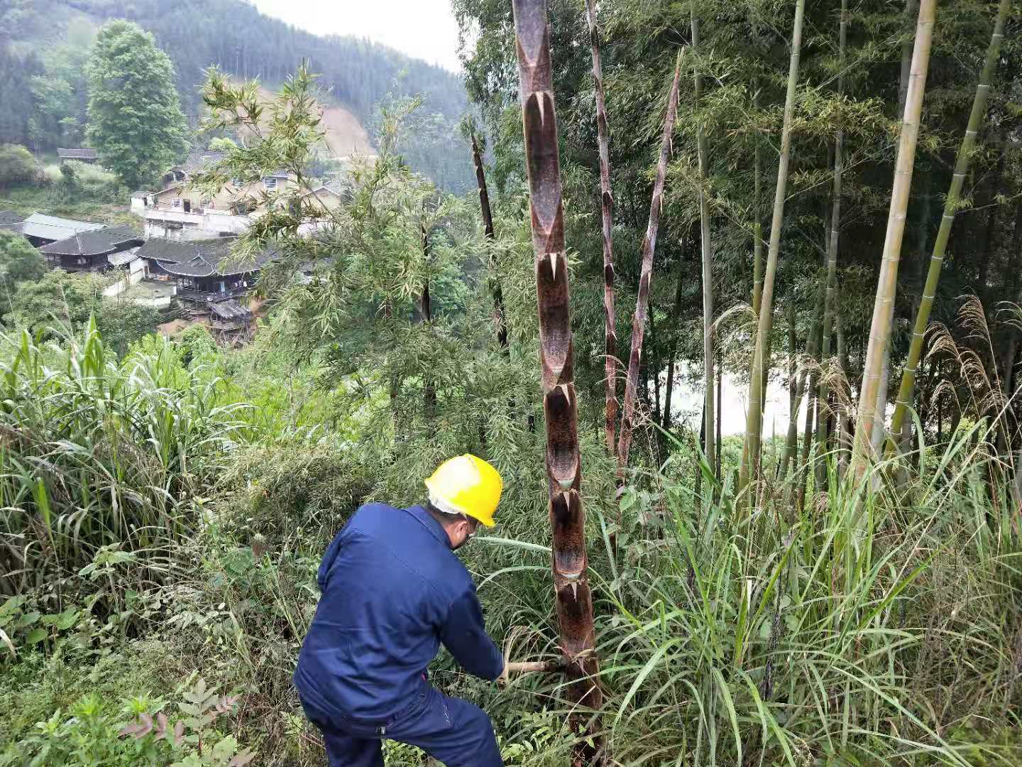 国网中方县供电公司春检砍青忙 线路通道畅