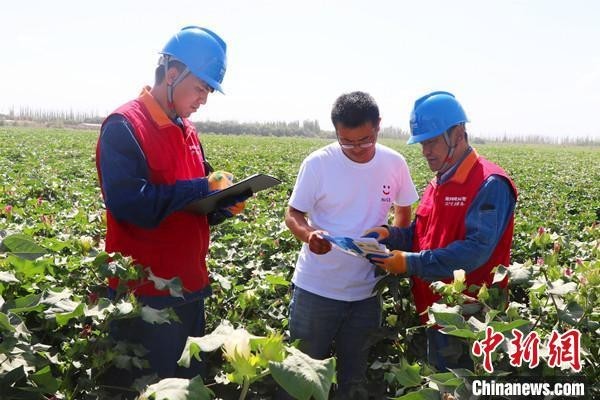 新疆启动2023年秋粮生产供电服务保障专项行动