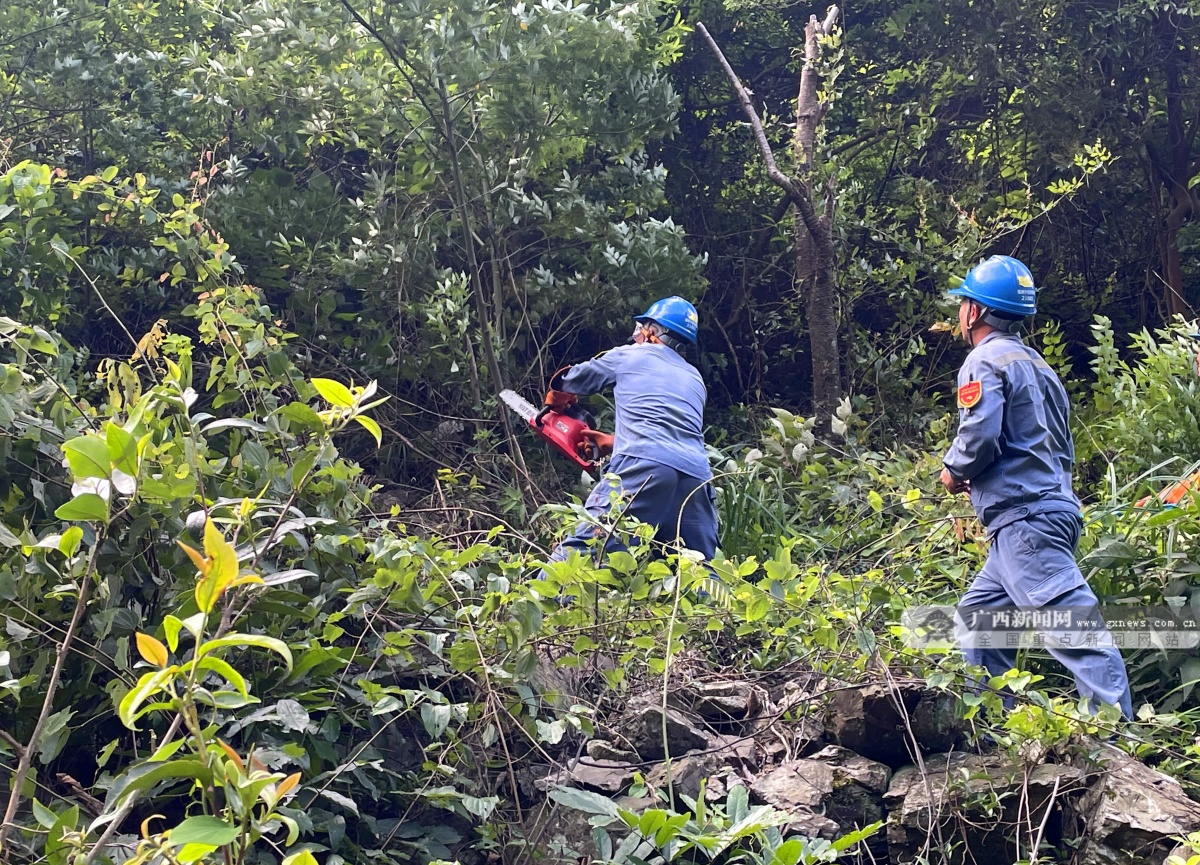 广西兴安供电局全力打造电力线路“安全通道”