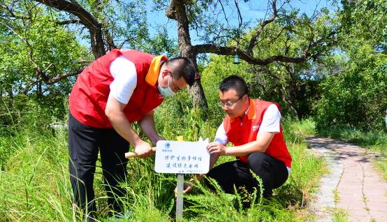 国网蒙东兴安供电公司“电力+生态”为湿地绿色发展赋能