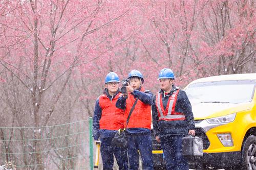 国网寿宁县供电公司采取措施积极应对雨雪冰冻灾害天气