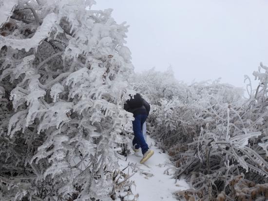 【新春走基层】迎雪而上攻坚行，奋战不息护光明