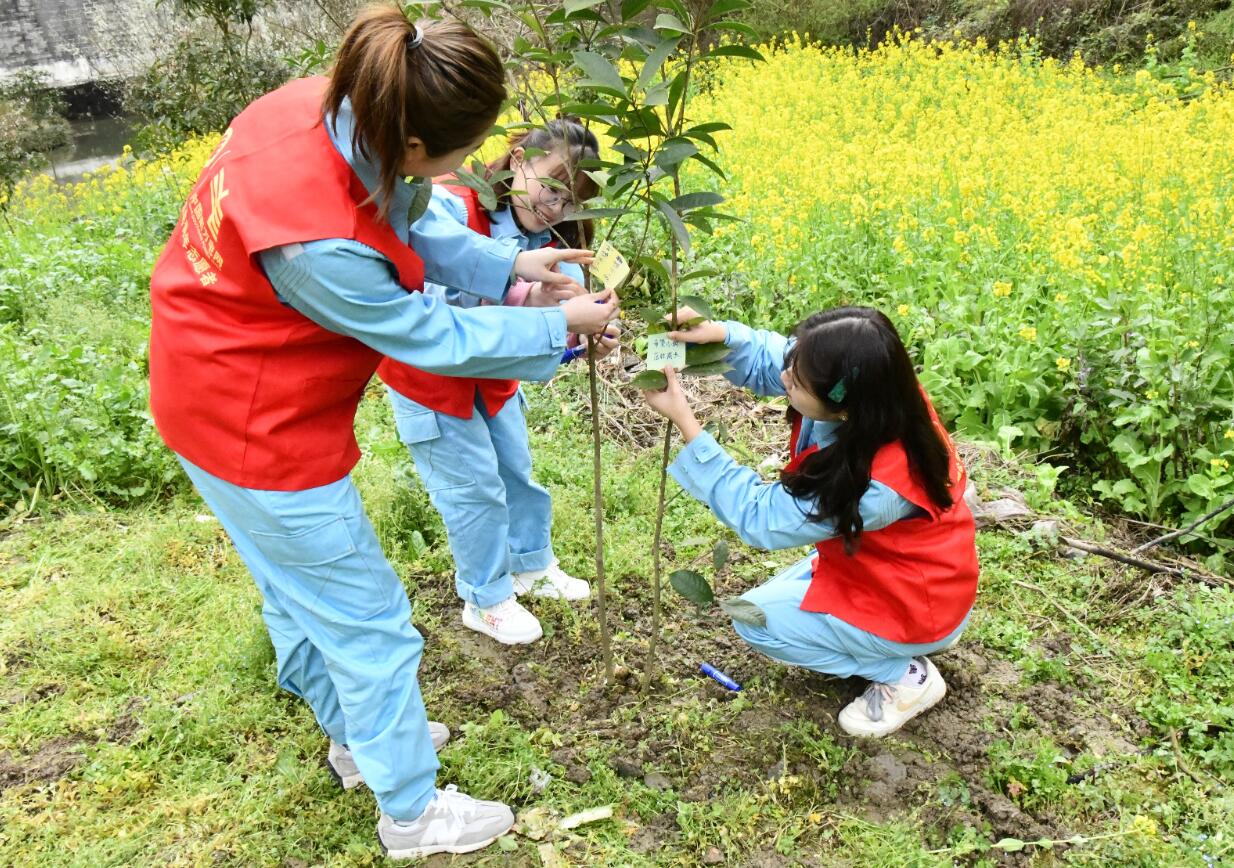 贵州德江供电局植树添绿上春山