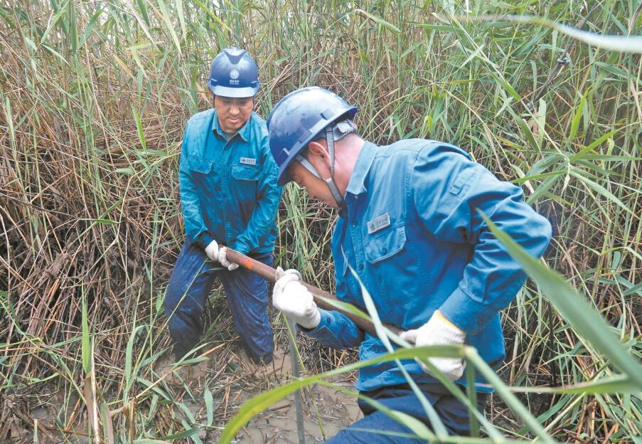 山东微山县供电公司：湖区中央换拉线 一身湿透半身泥