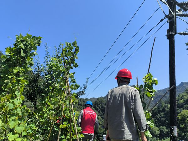 湖北竹溪供电公司畅通电力生命线 助力打赢迎峰度夏保供电攻坚战