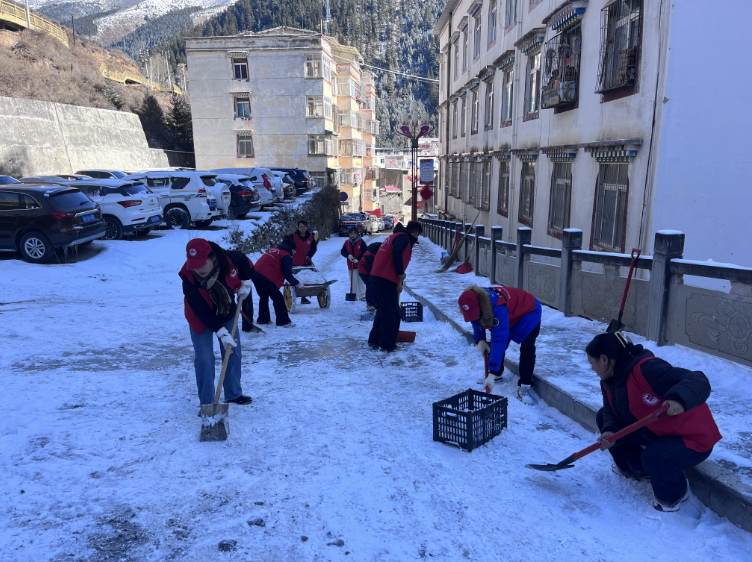 挺膺担当志愿服务，清冰除雪保障安全