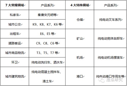 比亚迪：中国企业如何领跑全球新能源汽车产业？