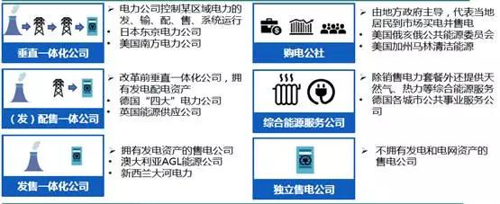 图表 3 国外售电公司经营模式