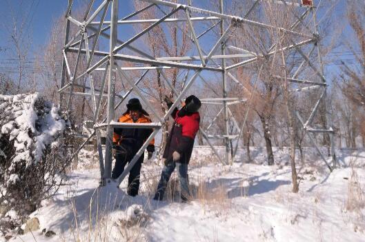 国网阜康市供电公司雪后清理树障畅通电力通道